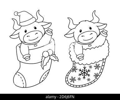 Set di due mucche seduti nel calzino. Illustrazione vettoriale del contorno di Natale per i bambini libro da colorare. Isolato su sfondo bianco. Illustrazione Vettoriale