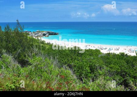 Horseshoe Beach, una delle spiagge più famose dell'isola delle Bermuda Foto Stock