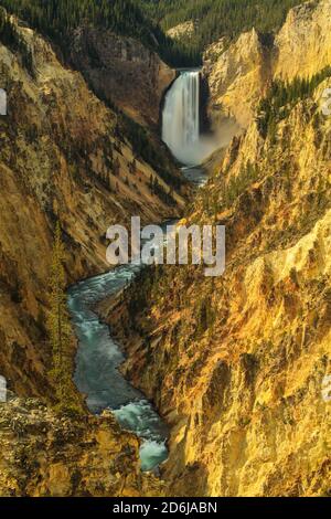 Cascate di Yellowstone nel parco nazionale di Yellowstone Foto Stock