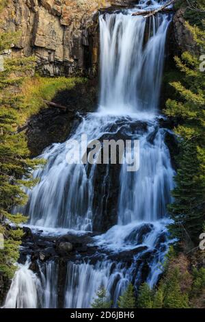 Cascate di Udine a Yellowstone nel Parco Nazionale di Yellowstone Foto Stock