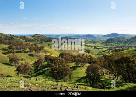 Una vista panoramica tra Wyangala e Cowra, nel nuovo Galles del Sud, Australia Foto Stock