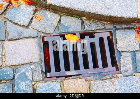 Grata di scarico di strada in autunno . Foglie colorate sul marciapiede Foto Stock