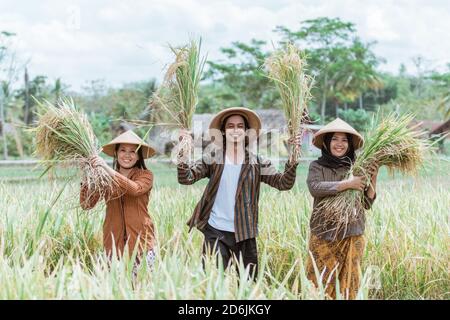 Tre coltivatori asiatici che tengono e sollevano le piante di riso che hanno è stato raccolto dopo la raccolta insieme nei campi Foto Stock