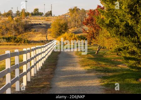 Percorso di corsa attraverso un parco lungo una recinzione bianca fiancheggiata con alberi Foto Stock