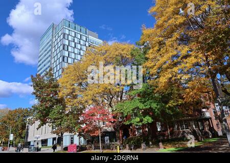 Toronto, Canada - 16 ottobre 2020: Campus dell'Università di Toronto, alto edificio della scuola d'affari, con alberi in colori autunnali Foto Stock