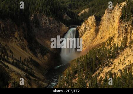 Cascate di Yellowstone nel parco nazionale di Yellowstone Foto Stock