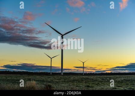 prima dell'alba, tre generatori di vento stazionari si trovavano nella forma della lettera y in un prato coperto di gelo e nuvole nel cielo, ma nella d Foto Stock