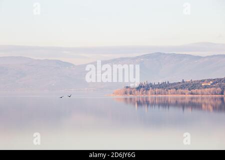 Una vista perfettamente simmetrica di un lago, con alberi riflessi sull'acqua Foto Stock