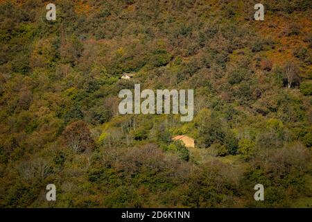 Nel mezzo di una lussureggiante foresta ci sono due cabine circondate da colori autunnali. Foto Stock