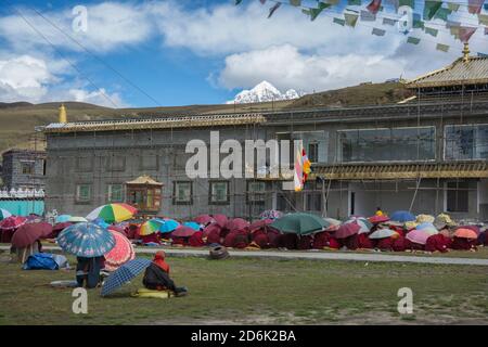 Molti monaci tibetani pregano all'aperto sotto le bandiere di preghiera tibetane. Tagong, Kangding, Garzê, Prefettura autonoma tibetana, Sichuan, Cina Foto Stock