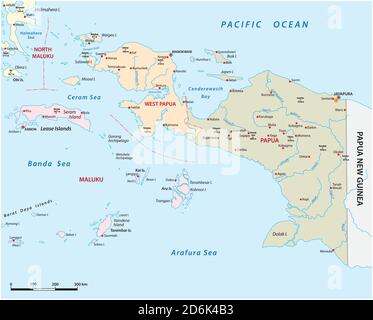 Mappa vettoriale delle province indonesiane di Papua e Ovest Papua Illustrazione Vettoriale