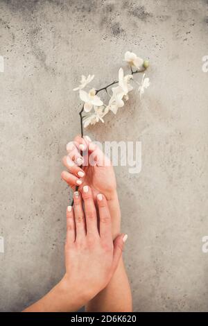 Vista dall'alto di una femmina irriconoscibile con fiore in fiore che mostra manicure elegante e ordinata su fondo di cemento Foto Stock