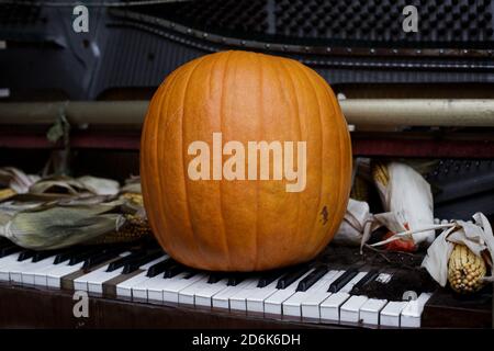 Una grande zucca arancione si trova sulle chiavi di un vecchio pianoforte accanto alle orecchie secche di mais giallo. Decorazioni e decorazioni per il giorno di Halloween. Colore autunno Foto Stock