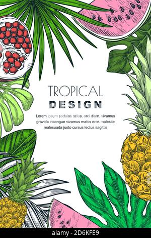 Poster, striscione o cartellino di auguri con foglie tropicali di palma, ananas, anguria e melograno. Illustrazione dello schizzo vettoriale disegnato a mano di esoti Illustrazione Vettoriale