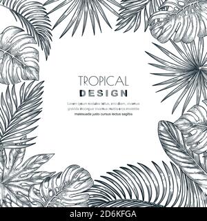 Foglie tropicali di palma vettore cornice quadrata. Schizzo illustrazione disegnata a mano di piante esotiche della giungla. Illustrazione Vettoriale