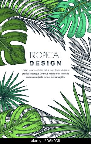 Poster, banner o cornice di biglietti d'auguri con foglie di palma tropicali. Vettore disegno a mano illustrazione di piante esotiche giungla. Illustrazione Vettoriale