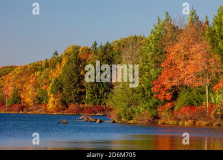 422 ettari di lago Land promesso al Promised Land state Park IS Situato nelle Pocono Mountains della Pennsylvania Foto Stock