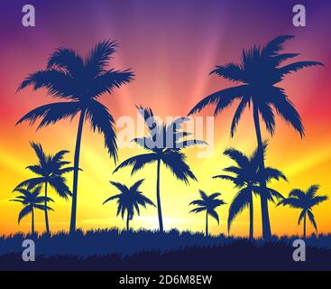 Alberi tropicali silhouette al tramonto Illustrazione Vettoriale