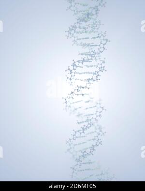 Il DNA, che porta istruzioni genetiche, risiede nel nucleo cellulare dove interagisce con varie proteine in vari processi, come la replicazione. Foto Stock