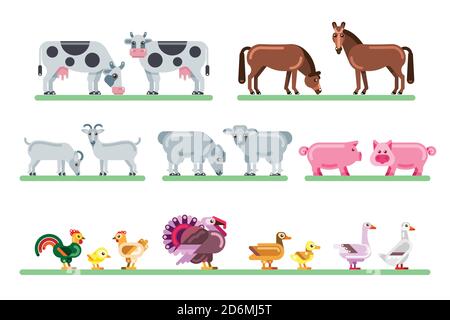 Set di animali da fattoria. Immagine vettoriale piatta del cortile. Simpatici personaggi colorati isolati su sfondo bianco. Illustrazione Vettoriale