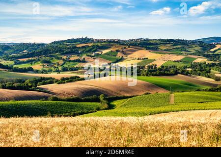Campagna, paesaggio e campi coltivati. Marche, Italia Foto Stock