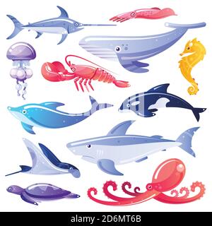 Illustrazione vettoriale di animali marini e pesci. Elementi di design per la vita marina. Abitanti dell'oceano isolati su sfondo bianco. Illustrazione Vettoriale