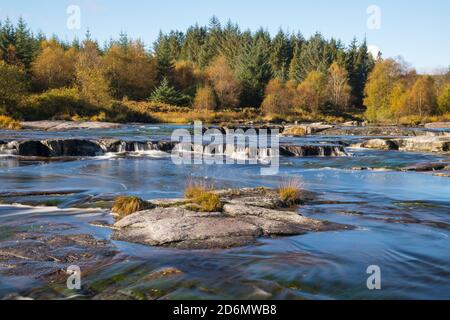 Piscine Otter in autunno, fiume Dee, Galloway Forest, Dumfries & Galloway, Scozia Foto Stock