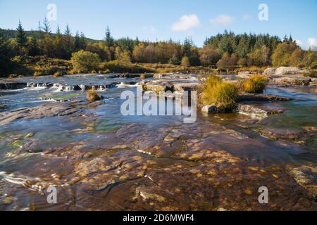 Piscine Otter in autunno, fiume Dee, Galloway Forest, Dumfries & Galloway, Scozia Foto Stock