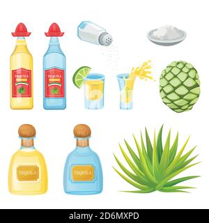 Bottiglie di tequila, vetro dello shot, ingredienti di radice di sale e agave, illustrazione vettoriale dei cartoni animati. Elementi di design del menu di bevande alcoliche messicane e cocktail. Illustrazione Vettoriale