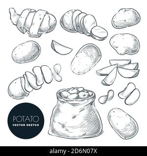 Illustrazione vettoriale dello schizzo delle patate. Raccolta di patate nel sacco. Elementi di progettazione isolati per l'agricoltura e l'agricoltura disegnati a mano. Illustrazione Vettoriale