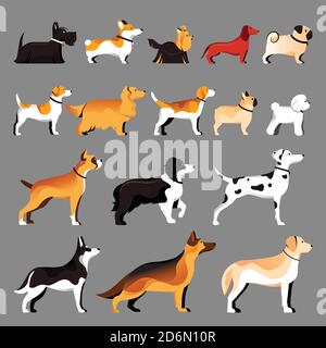 Razze di cane set. Immagine piatta vettoriale. Collezione icone animali. Illustrazione Vettoriale