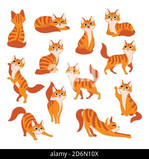Gatto carino rosso in diverse pose. Illustrazione piatta del cartone animato vettoriale. Divertente gattino giocoso isolato su sfondo bianco. Illustrazione Vettoriale