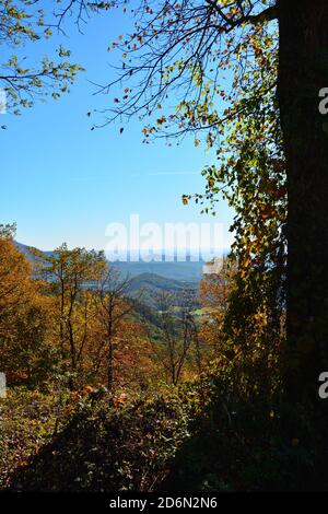 Vista da un punto panoramico durante l'autunno nella Carolina del Nord sulla Blue Ridge Parkway. Foto Stock