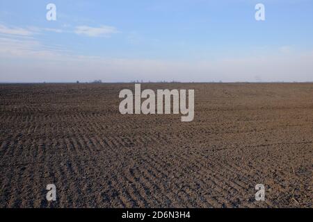 Un campo di fattoria appena arato. Terreno agricolo coltivato. Orizzontale. Foto Stock