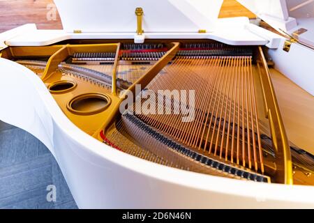 Corde di pianoforte e dettagli del martello dall'interno Foto Stock