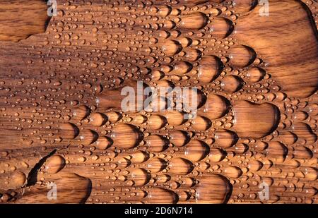 Esempio di superficie in legno idrorepellente Foto Stock