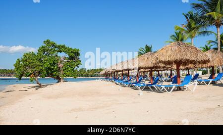 Fila di sedie a sdraio vuote sotto gli ombrelloni da spiaggia realizzati con foglie di palme sulla costa dell'oceano atlantico. Foto Stock