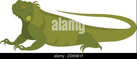 Iguana verde, illustrazione, vettore su sfondo bianco Illustrazione Vettoriale