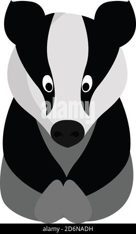 Piccolo badger, illustrazione, vettore su sfondo bianco Illustrazione Vettoriale