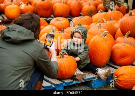 Lincolnshire, Stati Uniti. 18 Ott 2020. Un bambino posa per una foto con le zucche ad un Pumpkinfest in Lincolnshire, Illinois, Stati Uniti, il 17 ottobre 2020. Molte città dell'Illinois stanno organizzando festival della zucca di recente prima dell'Halloween. Credit: Joel Lerner/Xinhua/Alamy Live News Foto Stock