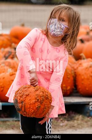 Lincolnshire, Stati Uniti. 18 Ott 2020. Una ragazza sceglie una zucca ad un Pumpkinfest in Lincolnshire, Illinois, Stati Uniti, il 17 ottobre 2020. Molte città dell'Illinois stanno organizzando festival della zucca di recente prima dell'Halloween. Credit: Joel Lerner/Xinhua/Alamy Live News Foto Stock