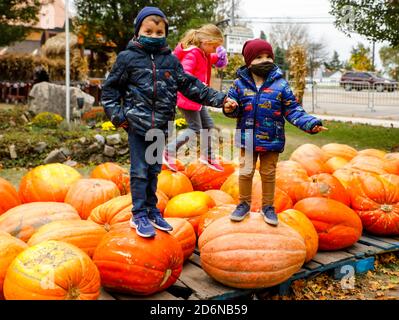 Lincolnshire, Stati Uniti. 18 Ott 2020. I bambini stanno sulle zucche giganti ad un Pumpkinfest in Lincolnshire, Illinois, Stati Uniti, il 17 ottobre 2020. Molte città dell'Illinois stanno organizzando festival della zucca di recente prima dell'Halloween. Credit: Joel Lerner/Xinhua/Alamy Live News Foto Stock