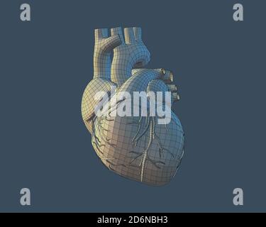 Cuore umano wireframe in oro che illumina il blu scuro sfondo chiaro Foto Stock