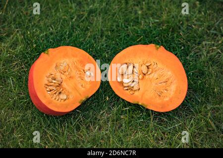Una zucca è un pasto sano e a basso contenuto calorico Foto Stock