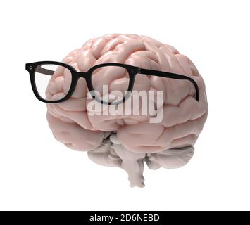 Cervello 3D e occhiali di vista rendering fotorealistico davanti vista isolata su sfondo bianco con tracciato di ritaglio da utilizzare in qualsiasi contesto Foto Stock