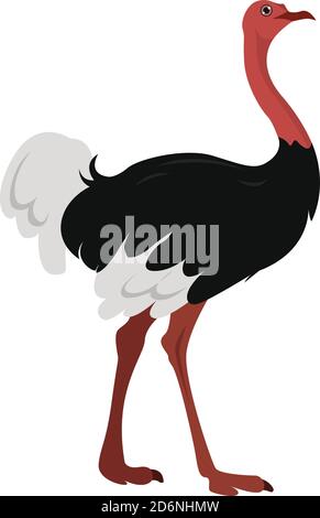 Big Ostrich, illustrazione, vettore su sfondo bianco Illustrazione Vettoriale