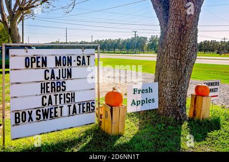 Zucche e altri prodotti stagionali sono esposti al McKenzie Farm Market, 17 ottobre 2020, a Fairhope, Alabama. Foto Stock