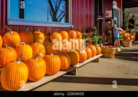 Zucche e altri prodotti stagionali sono esposti al McKenzie Farm Market, 17 ottobre 2020, a Fairhope, Alabama. Foto Stock