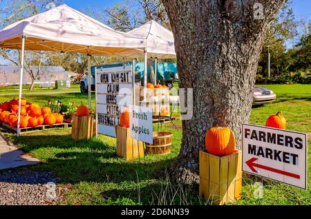 Zucche e altri prodotti stagionali sono esposti al McKenzie Farm Market, 17 ottobre 2020, a Fairhope, Alabama. Foto Stock