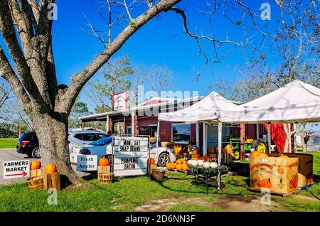 Zucche e altri prodotti stagionali sono esposti al McKenzie Farm Market, 17 ottobre 2020, a Fairhope, Alabama. Foto Stock